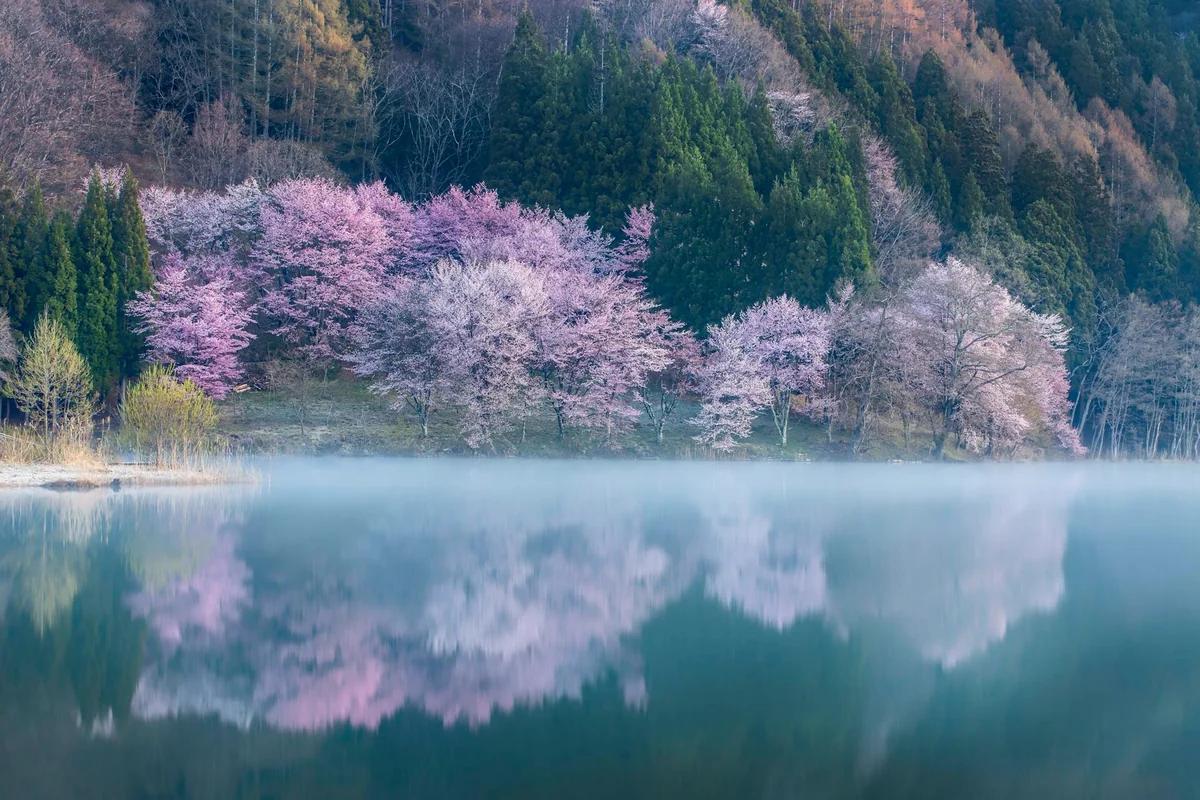 平原綾香與二胡演奏家魏巍吳合作《祈りにみちて》：跨越國界與思念的音樂祈願