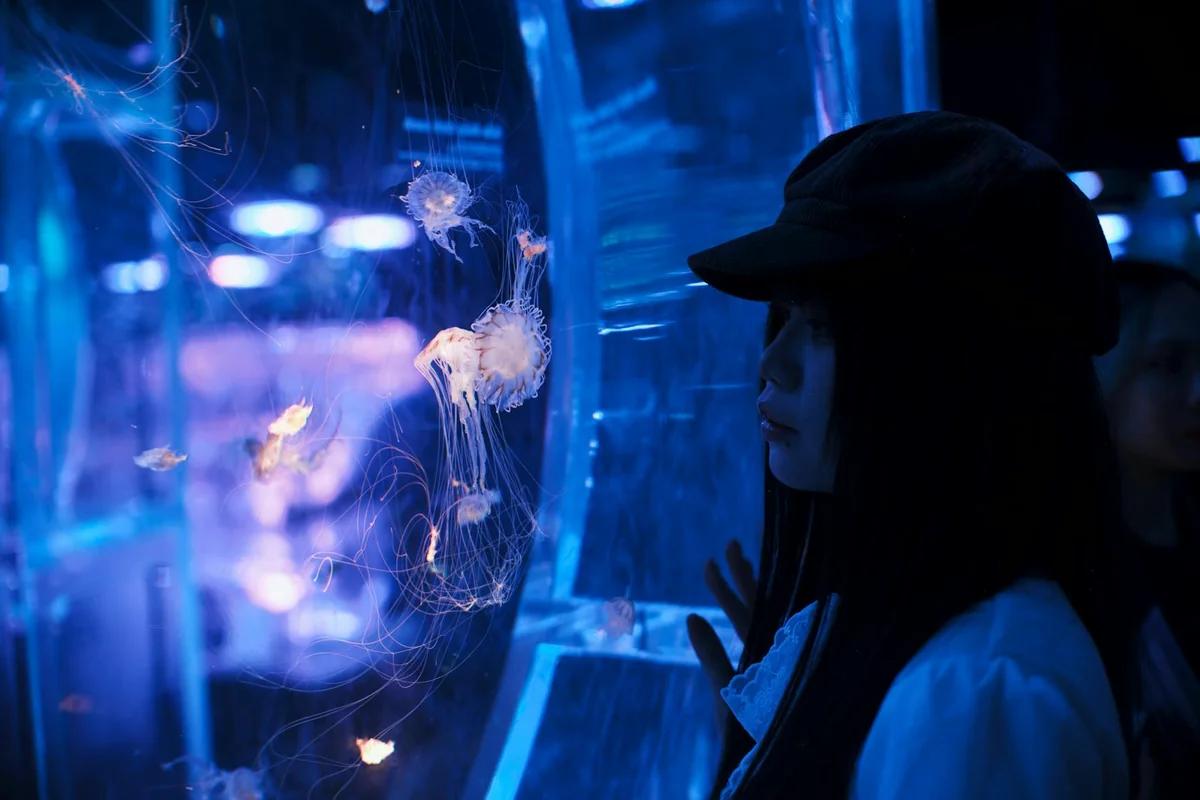 初夏限定！「花與海」交織的夢幻水族展，東京品川登場