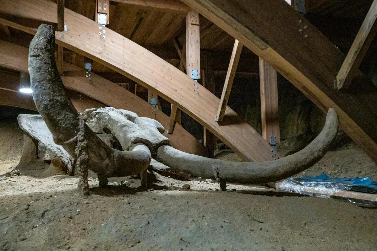 日本古墳出土2公尺大劍！異樣造型引發考古界震撼 ／ Photo by Boris Hamer