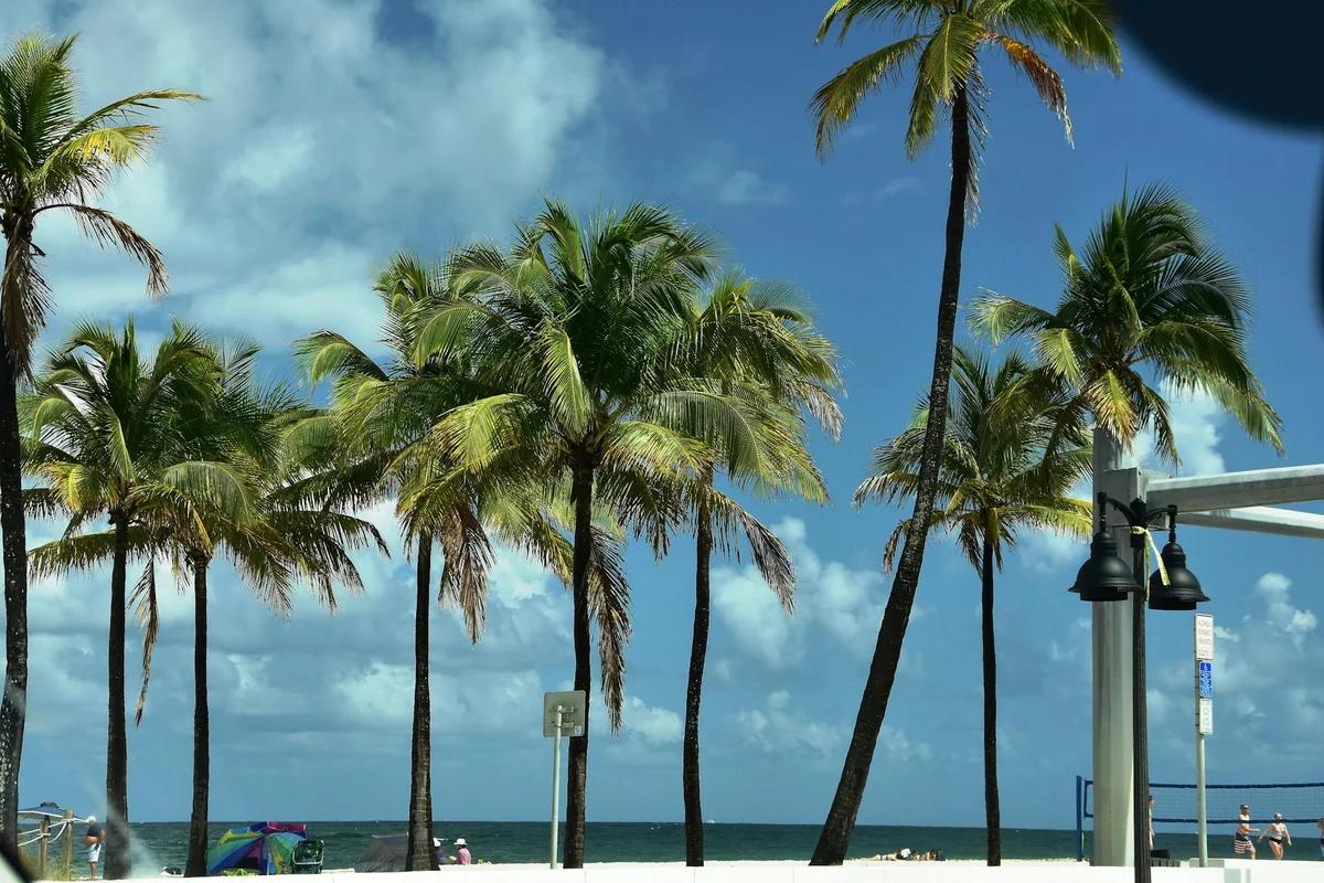 星巴克海景新店登場！衝繩名護21世紀森公園旁開幕：走幾步就到海邊 ／ Photo by Kurt Hudspeth