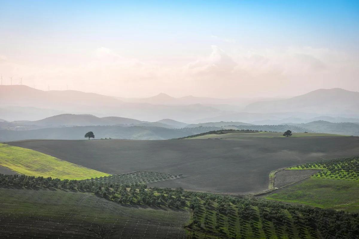 「昭和的伊能忠敬」井沢元晴：用鳥瞰圖傳遞平和願望