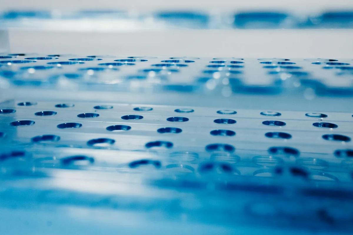 高溫38度！醫籲別只靠多喝水：這樣喝才保腎 ／ Photo by Tara Winstead