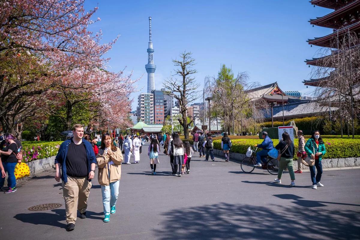 東京神保町古本博覽會4天狂掃數百萬冊！全台100間古書店首度大集合