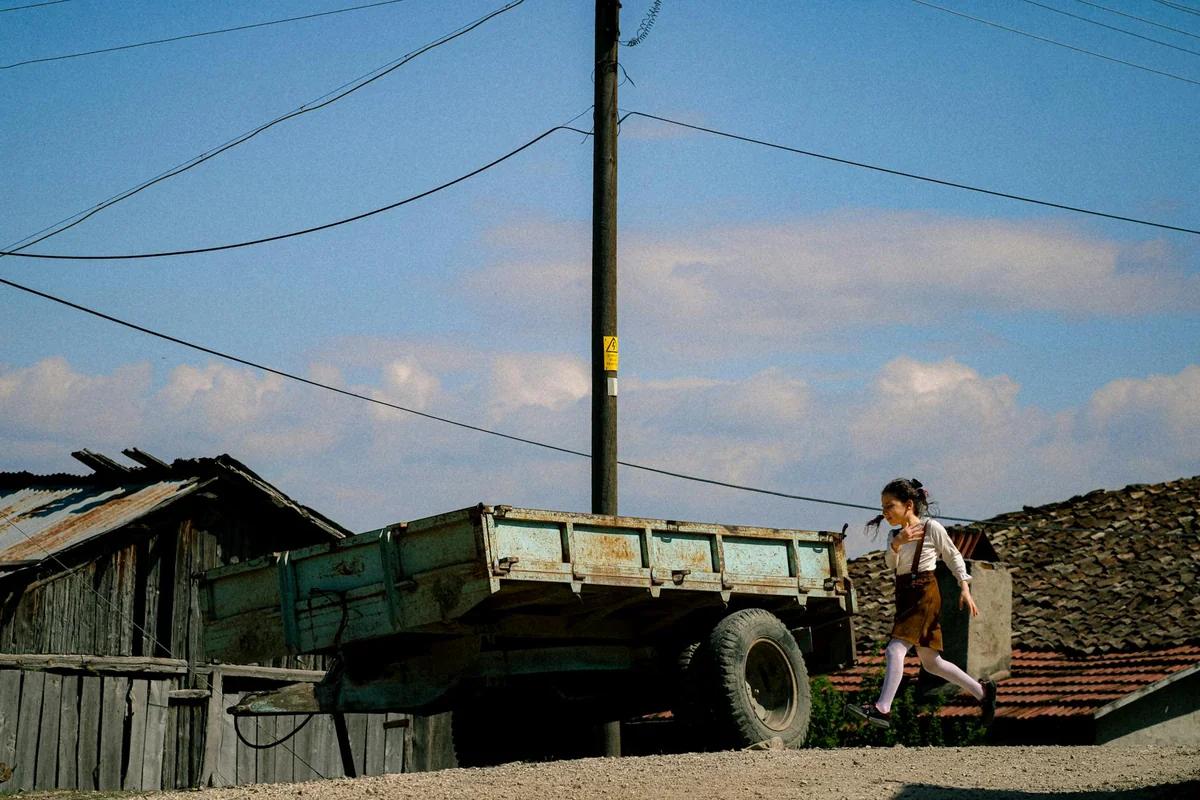 強くて優しい虎になる？小山コータロー4コマ劇場：七夕願い事の意外な真実 ／ Photo by Adem Erkoç