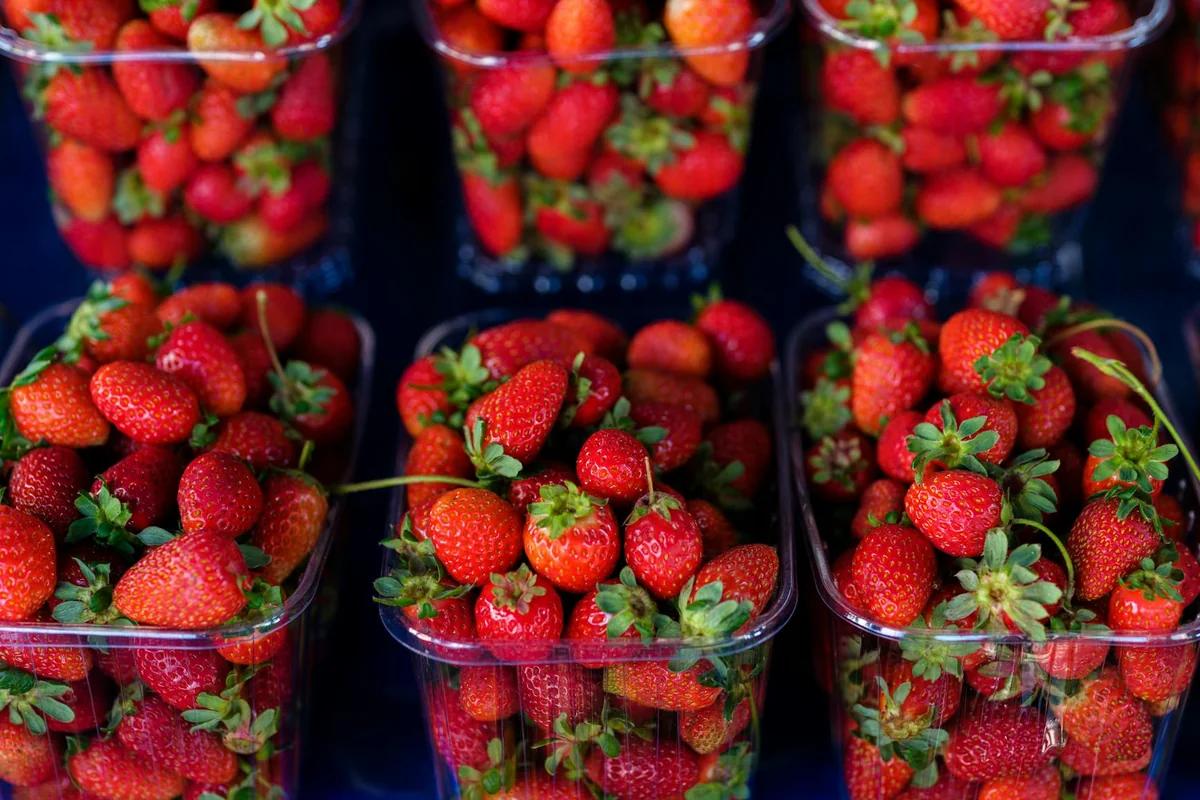 論壇爆買！論山草莓祭限定周邊5分鐘完售，民眾哀求「請上網賣」