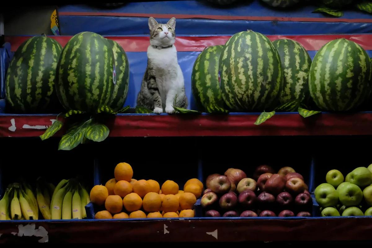 日本人水果攝取量50年減半！「太麻煩」成主因，新種西瓜連種子都能吃