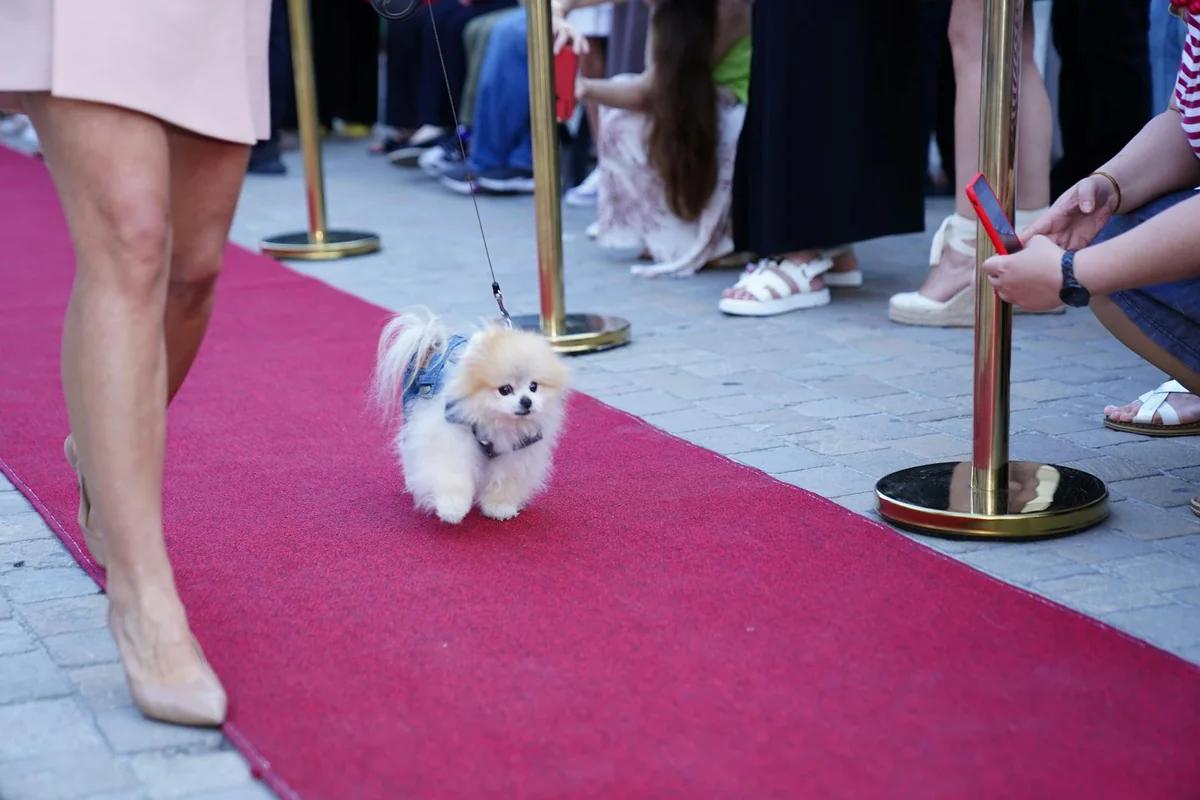 正祖裡導演新作《多拉》入選坎城導演週！韓國三部作品將齊登國際影壇
