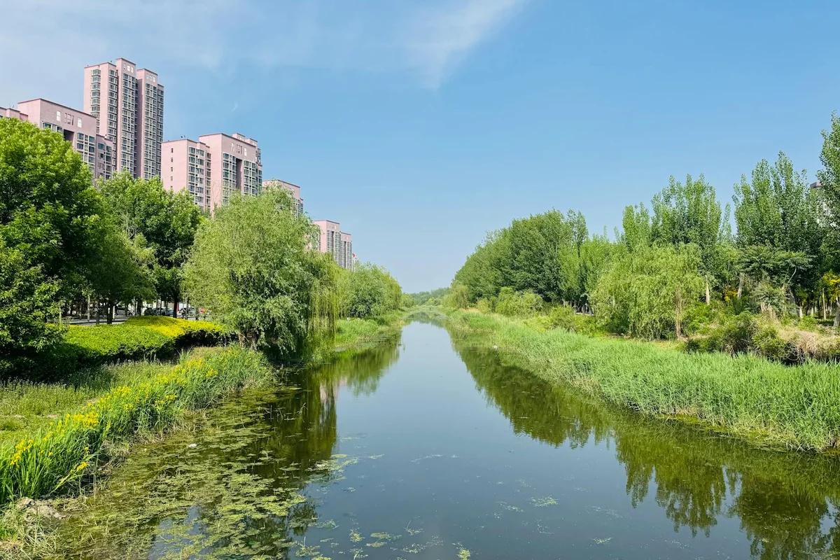 廣州創60年最早入夏！3月19日就入夏，比平均提早33天 ／ Photo by Shuaizhi Tian