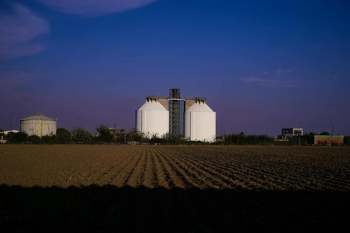 鳥流感重創日本蛋價！60年來首見大漲，農家喊聲：防不了 ／ Photo by Cem Nisan