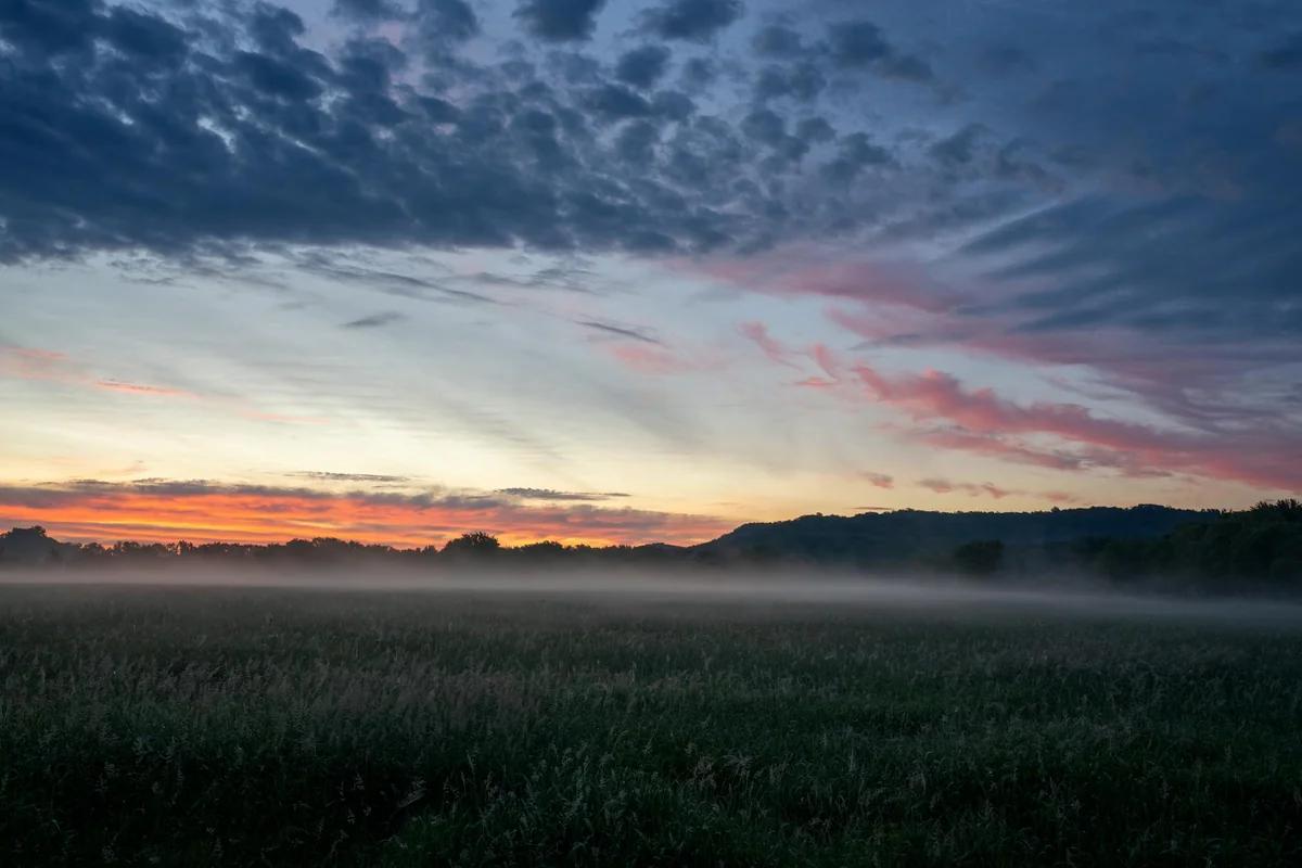 見上愛朝ドラ初主演竟因蚊子送醫？現場腫到病院
