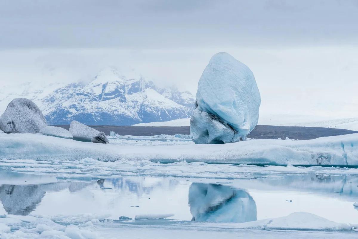 8歲男孩說最愛南極！親子旅行新選擇？南極洲的真實面貌