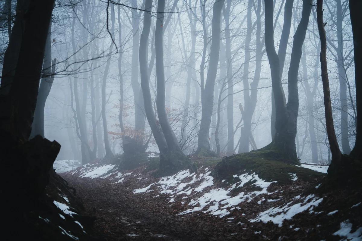 京都男童遺體遭棄山林 前搜查員指警方早已鎖定