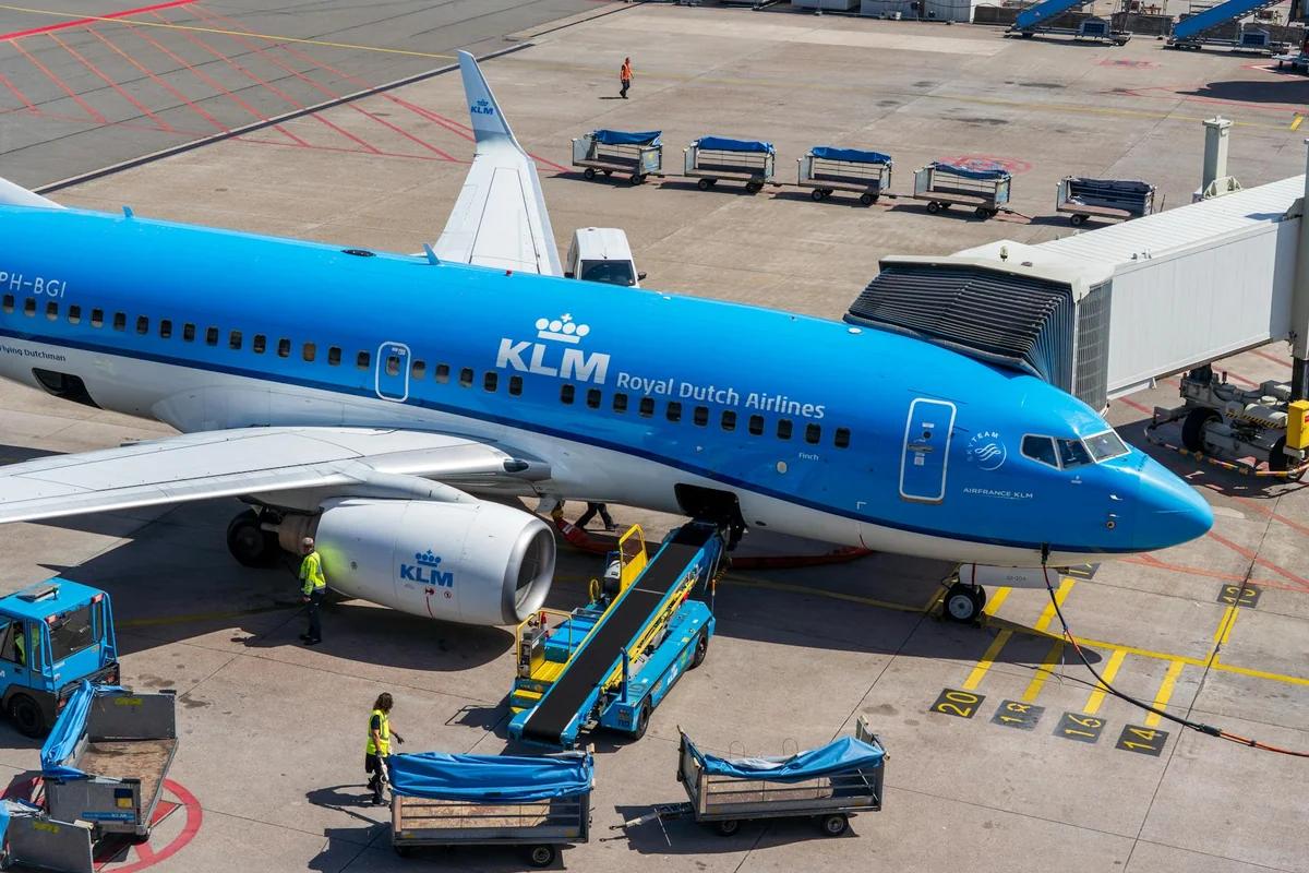 ANA新規定：優先搭機成生存關鍵！頭上行李架恐成戰場