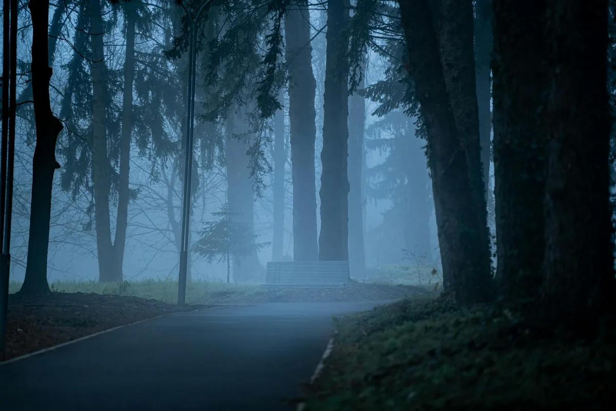 《MUJINA INTO THE DEEP》季終結篇熱映！作者淺野宣布明年續作開拍