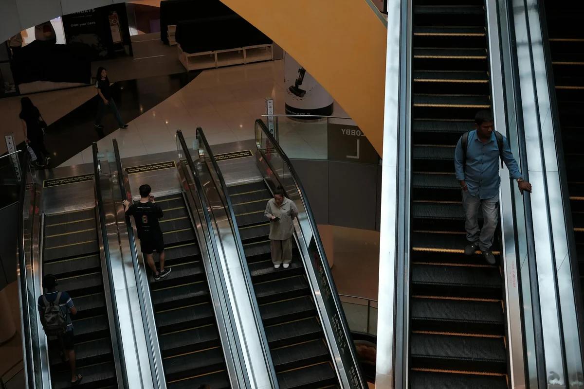 免費種菜工具包等你拿！VivoCity 20週年集章活動開跑