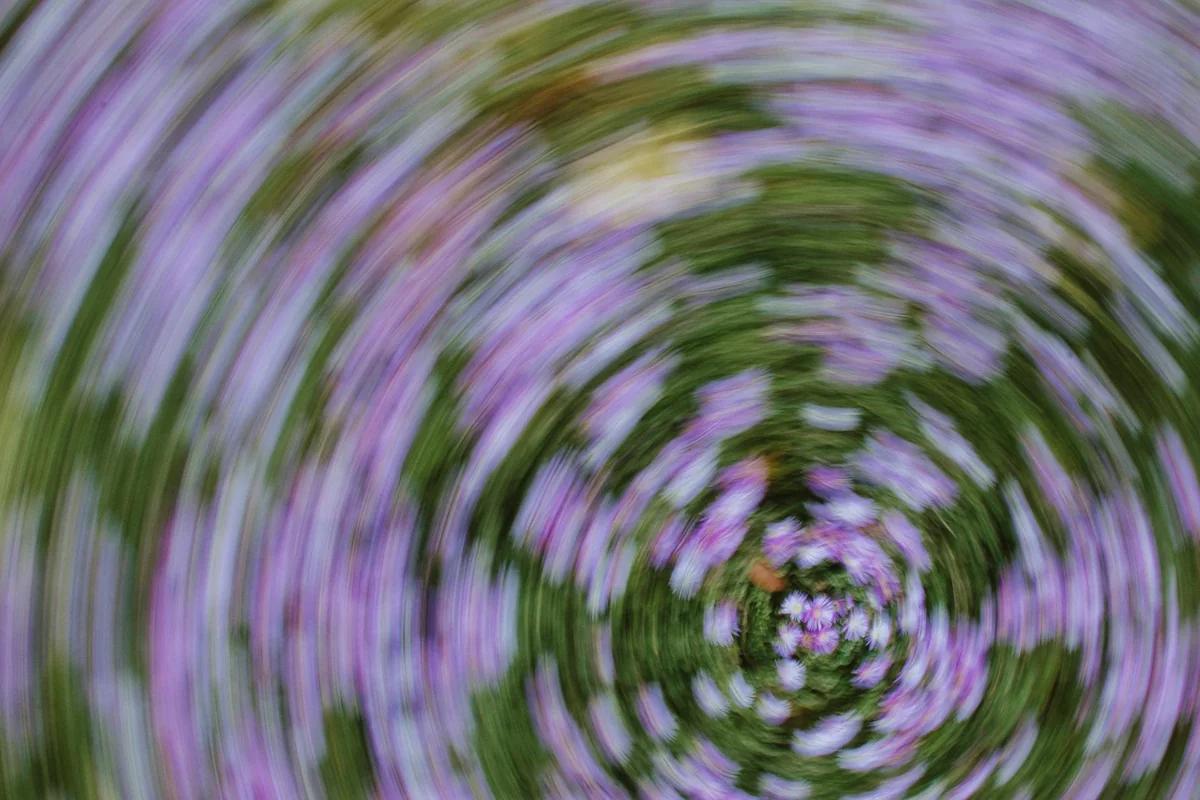 WIT STUDIO推出Orangestar新曲《Petals》MV！為《春夏秋冬代行者》春季篇主題曲