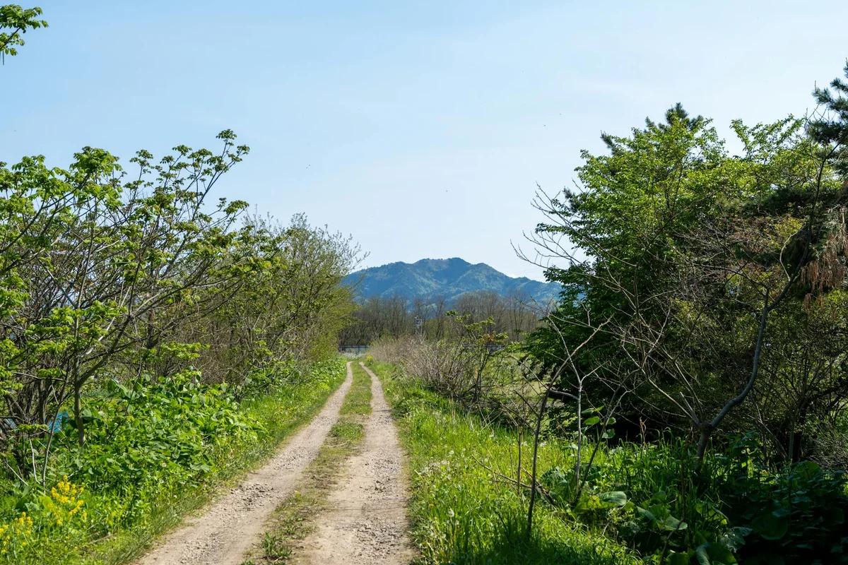 遺體竟是結希！現場曾無異狀：為何兩天後才發現？ ／ Photo by Robert Schwarz