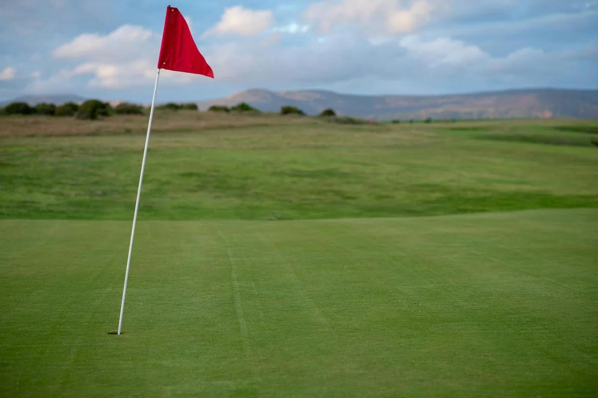 政治同溫層助勝利：高爾夫球手同黨夥伴多0.2桿優勢