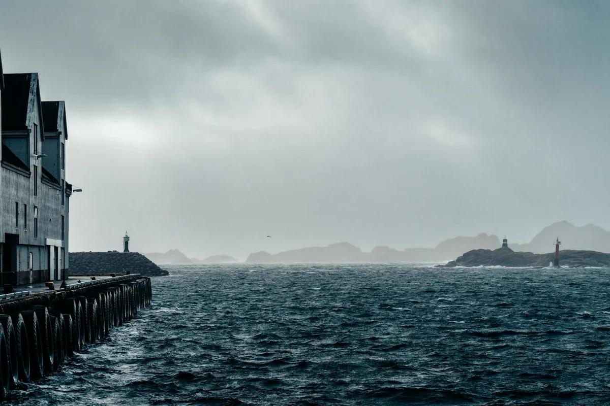 孤島女校連環殺人案!少女被懷疑是兇手:誰在她周圍覓食? / Photo by Raul Kozenevski